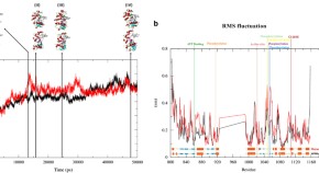 Mosaic CREBBP mutation causes overlapping clinical features of Rubinstein– Taybi and Filippi syndromes