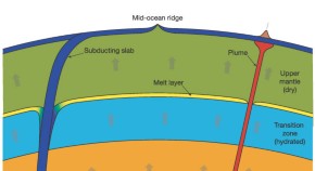 hypothesis nature article