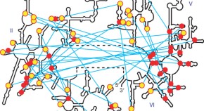 hypothesis in journal article