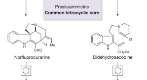 essay on nobel prize in chemistry