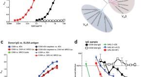 cloning research paper