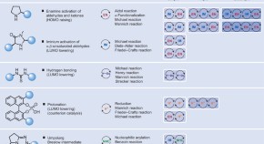 essay on nobel prize in chemistry