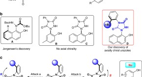 essay on nobel prize in chemistry