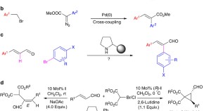 essay on nobel prize in chemistry