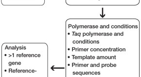 polymerase chain reaction research paper