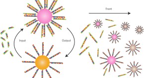 dna computing research papers pdf