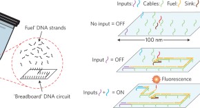 latest research paper on dna computing