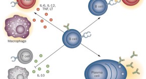 new research treatment for multiple sclerosis