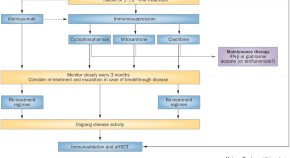 new research treatment for multiple sclerosis