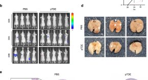 research news breast cancer