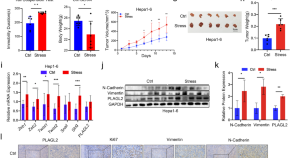 research about cancer of the liver