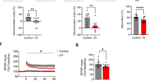 recent research papers on neuroscience