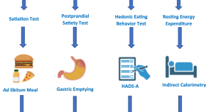 research articles for obesity