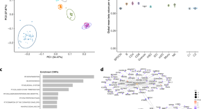 research articles on leukemia