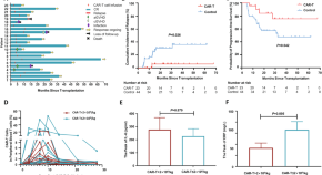 leukemia research author guidelines