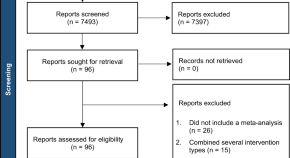 systematic review article type