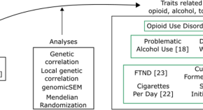 research findings on substance abuse