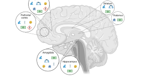 latest research on psychology