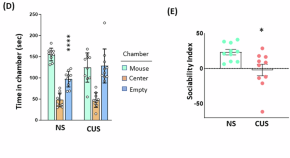 current psychiatry research and reviews current psychiatry research and reviews