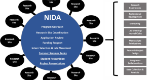 research topics on health disparities