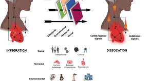 research topics on health disparities