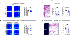 recent research on clinical depression