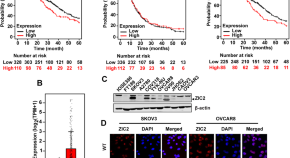 current research in cancer