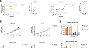 prostate cancer research