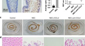 neonatal research topics 2022