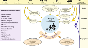 neonatal research topics 2022