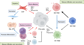 research on cancer treatments