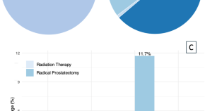 prostate cancer research reports