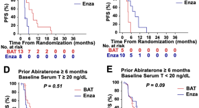 prostate cancer research reports