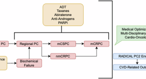 thesis on prostate cancer