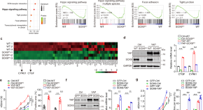 current research on cancer