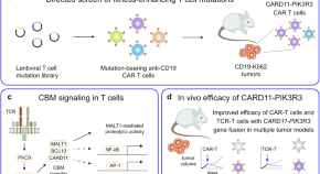 latest research paper on cancer