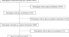 research paper on memory research paper on memory
