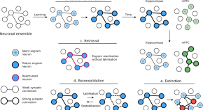 drug addiction research paper topics