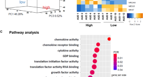 latest research on stem cell therapy