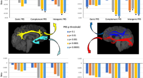 research paper topics on schizophrenia