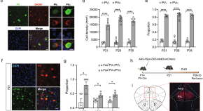 latest research on cure for autism