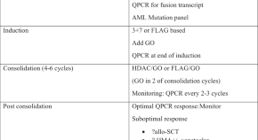 Blood Cancer Journal