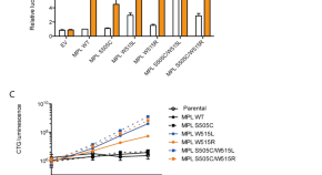 research article blood cancer