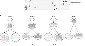 research topics for genetics