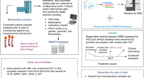 research paper related to stem cells