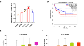 research article on cancer cells