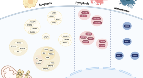 research paper on hereditary diseases