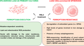 stem cell research resource paper