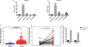 stem cell research resource paper