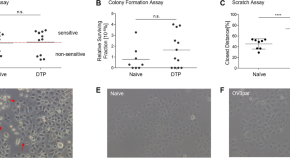 current research in cancer